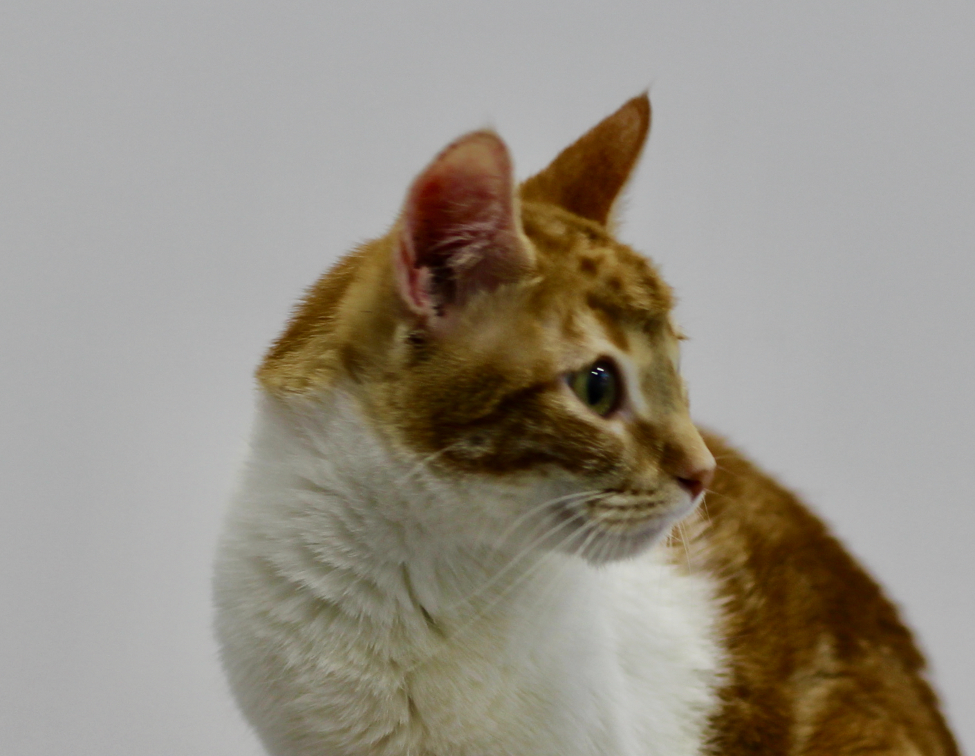 IMG_1817.jpeg IMG_1817.jpeg