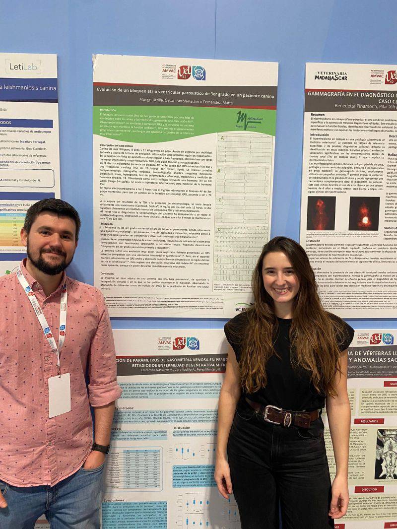 poster presentado por HV Mediterráneo en AMVAC